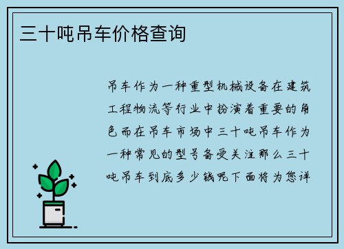 三十吨吊车价格查询