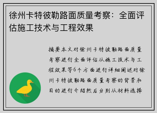 徐州卡特彼勒路面质量考察：全面评估施工技术与工程效果